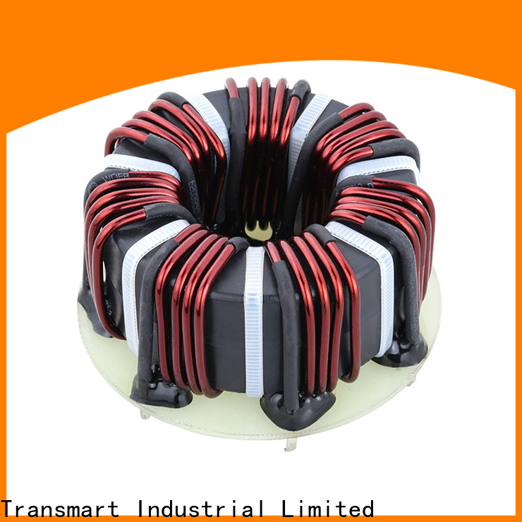 Custom toroidal tube power transformer down factory for home appliance