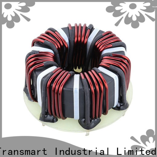 Transmart Wholesale best high voltage toroidal power transformer factory power supplies